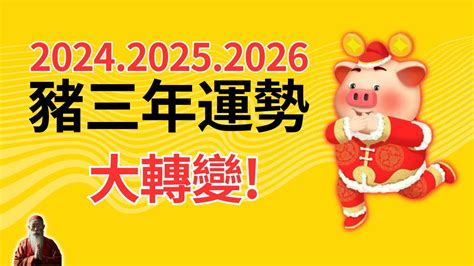 豬年幸運顏色|【屬豬幸運色】屬豬者專屬幸運色！2024豬年最強運勢指南